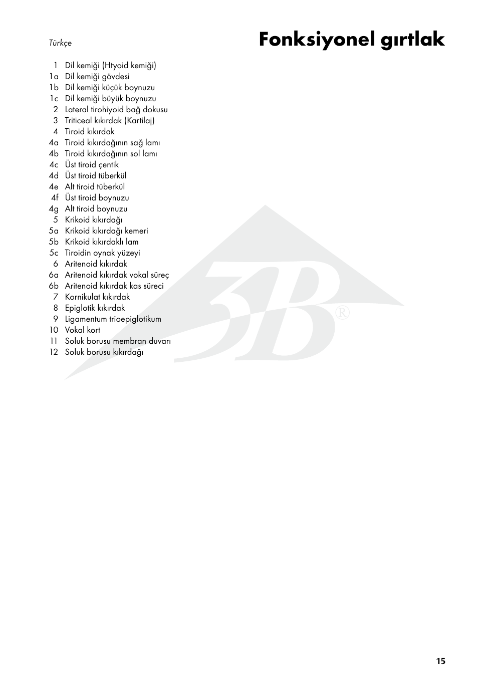 Fonksiyonel gırtlak | 3B Scientific Functional Larynx Model, 3 times full-size User Manual | Page 15 / 16
