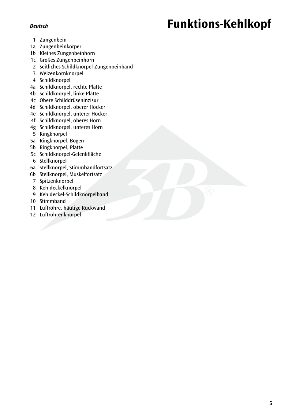 Funktions-kehlkopf | 3B Scientific Functional Larynx Model, 3 times full-size User Manual | Page 5 / 16