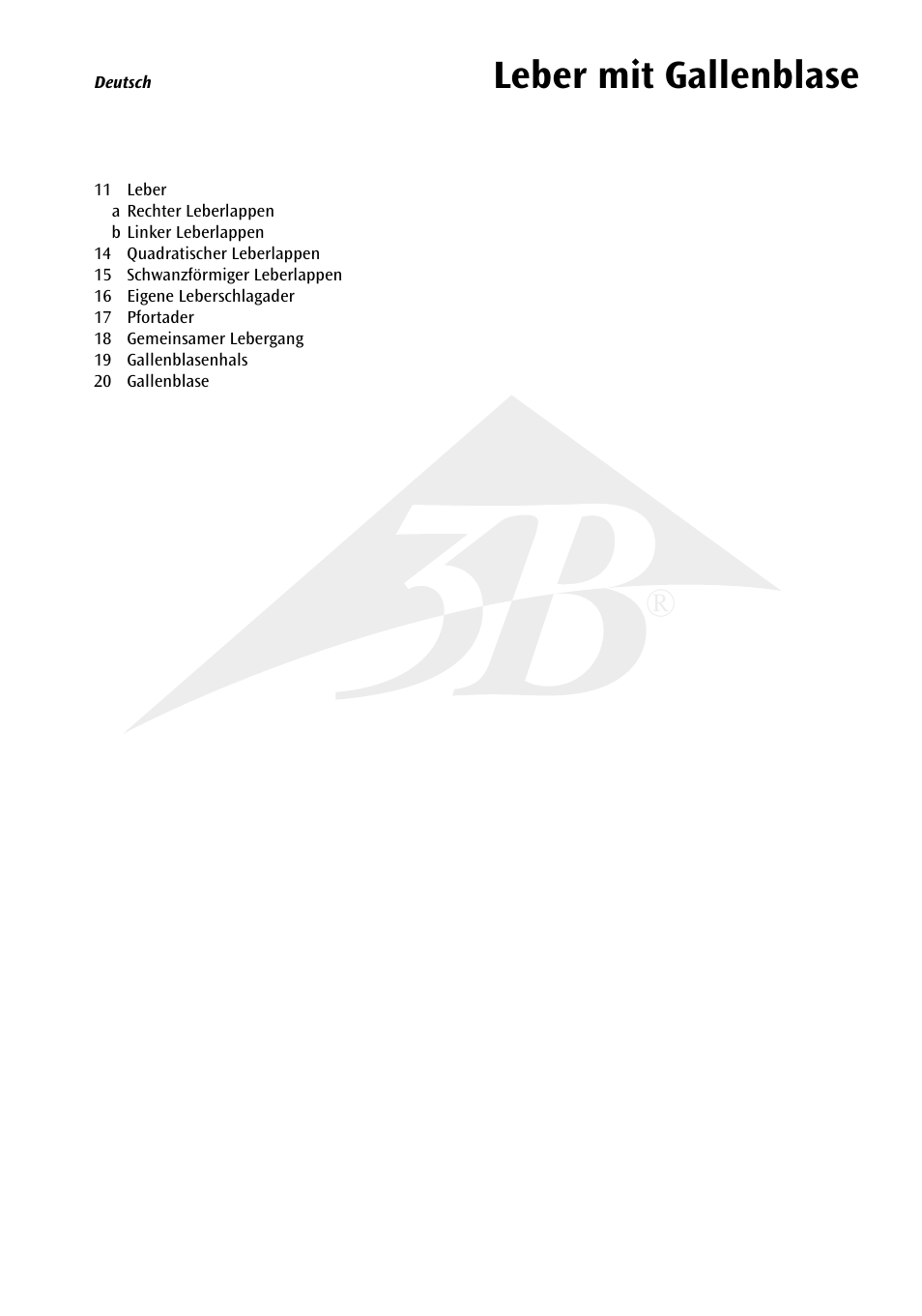 Leber mit gallenblase | 3B Scientific Liver with Gall Bladder User Manual | Page 4 / 12