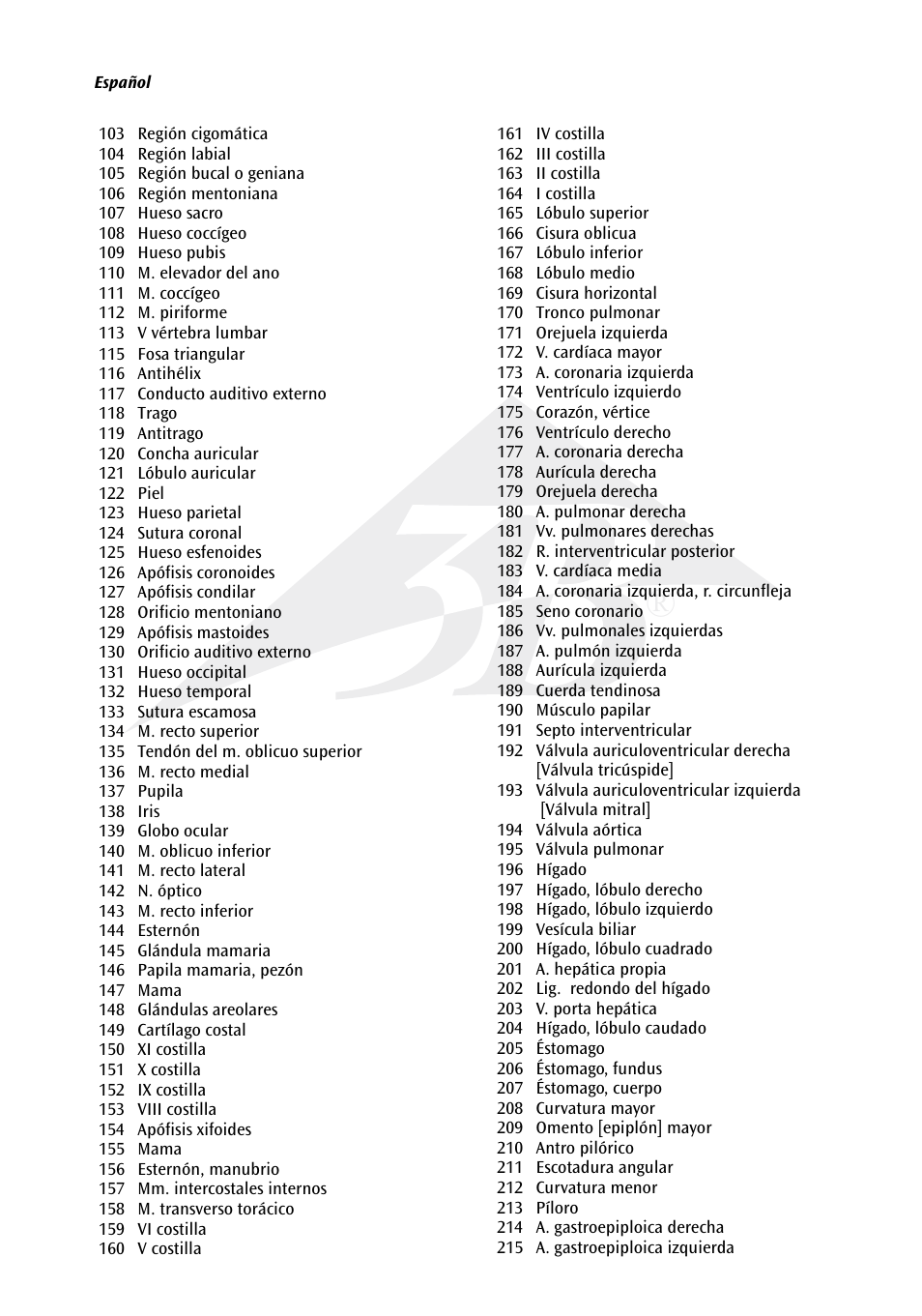3B Scientific Deluxe Dual Sex African Torso, 24-part User Manual | Page 13 / 63