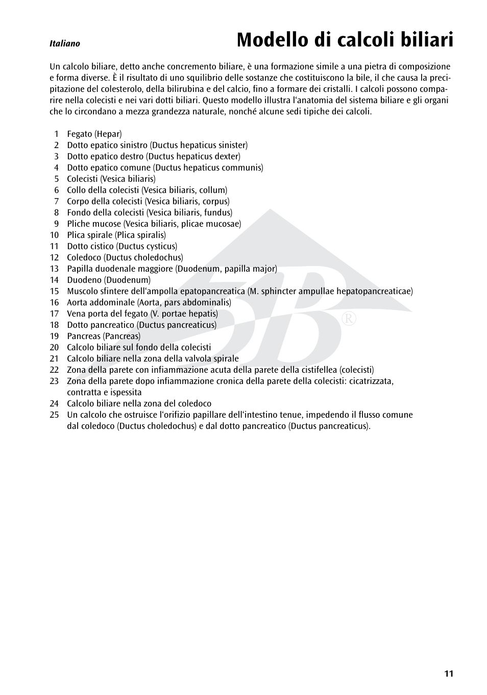 Modello di calcoli biliari | 3B Scientific Gallstone Model User Manual | Page 11 / 16