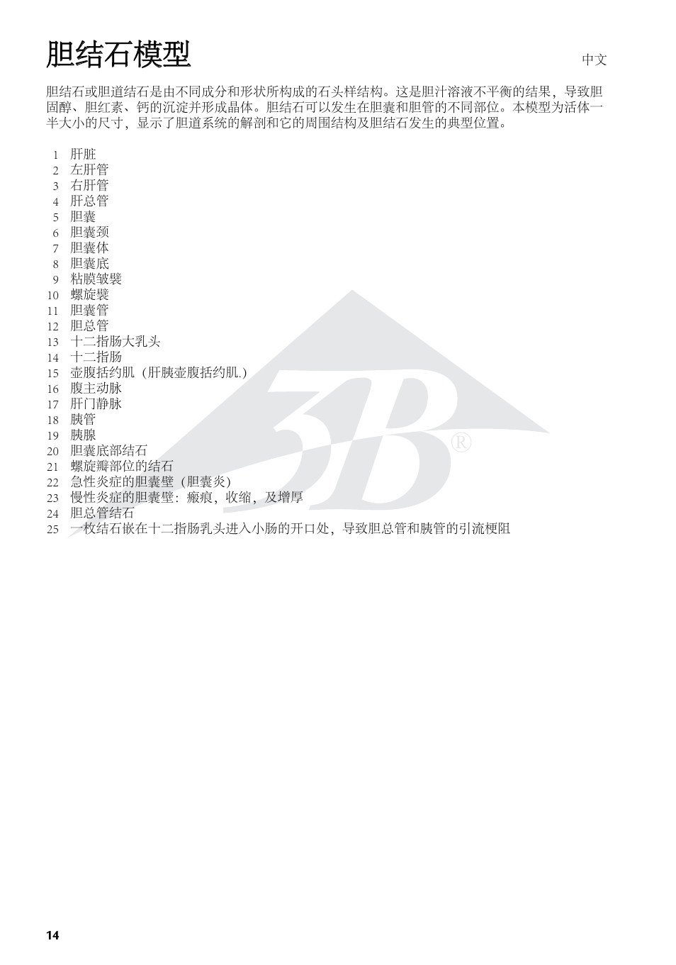 胆结石模型 | 3B Scientific Gallstone Model User Manual | Page 14 / 16