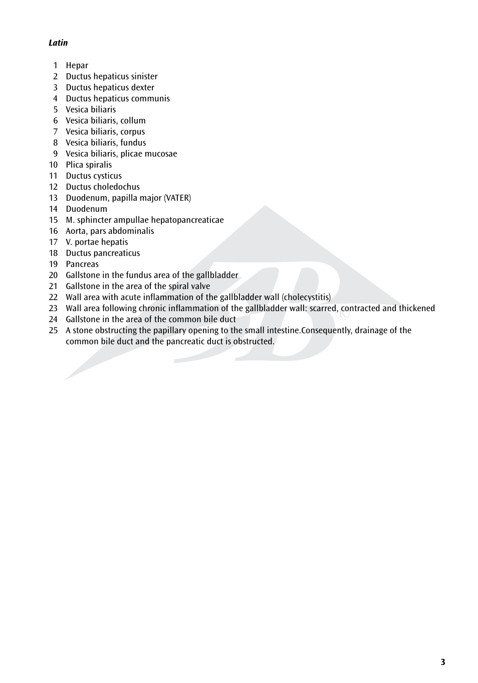 3B Scientific Gallstone Model User Manual | Page 3 / 16