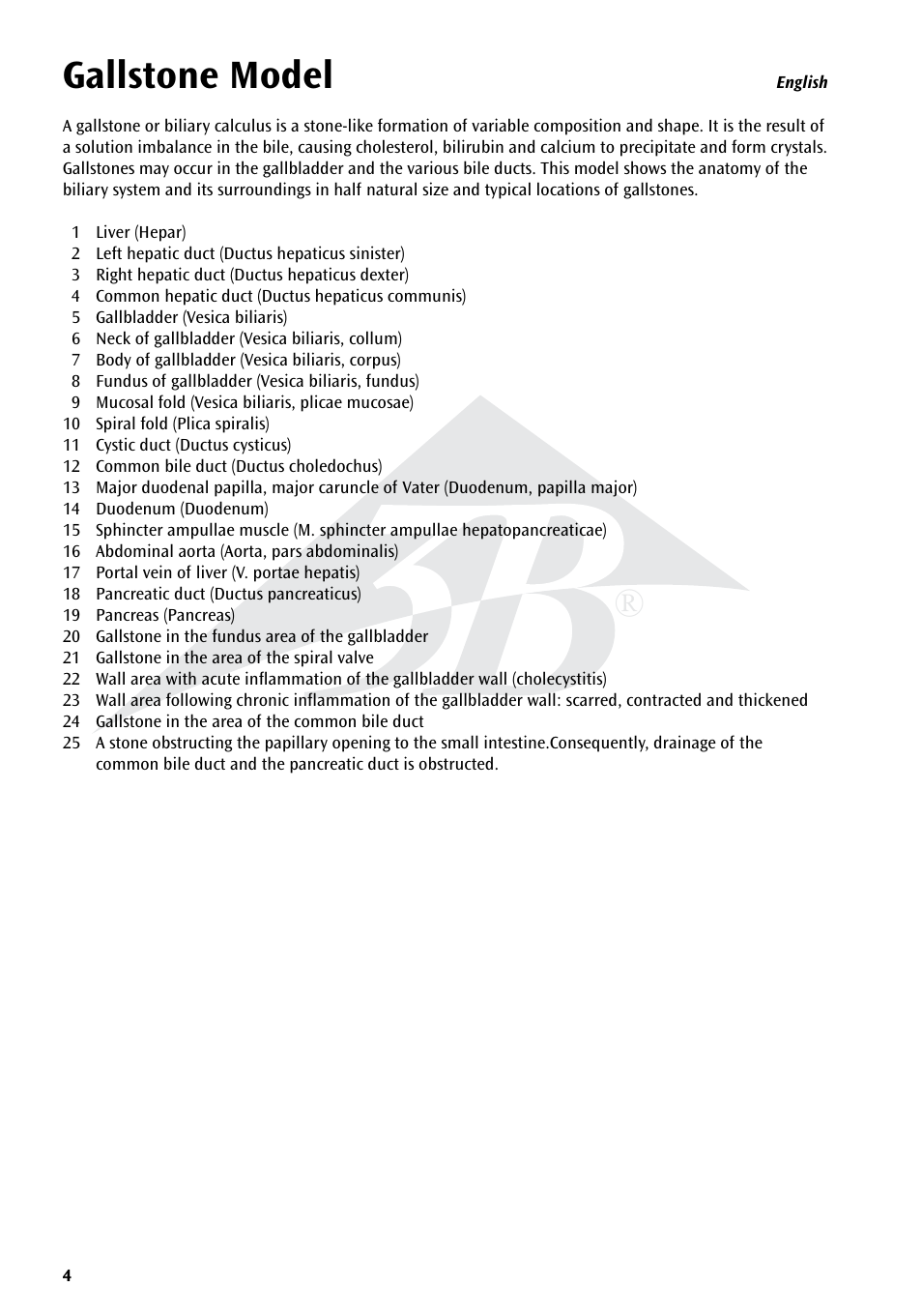 Gallstone model | 3B Scientific Gallstone Model User Manual | Page 4 / 16