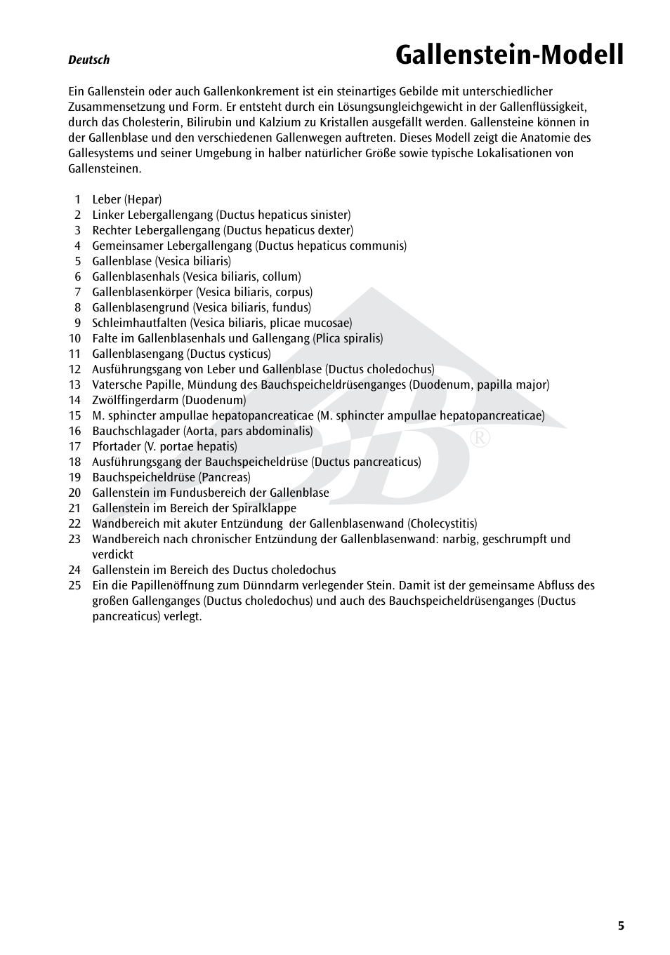 Gallenstein-modell | 3B Scientific Gallstone Model User Manual | Page 5 / 16