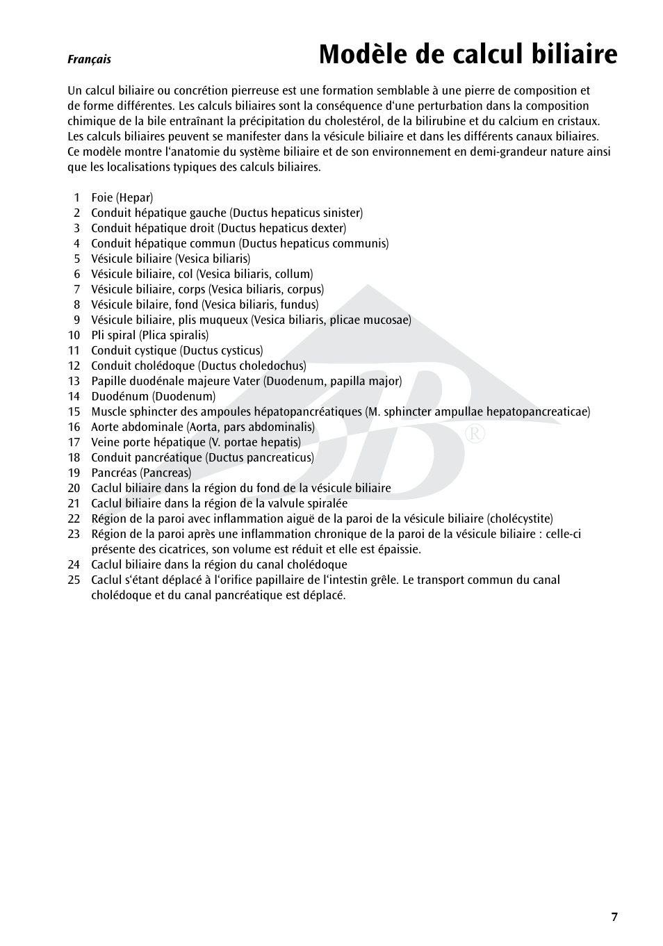 Modèle de calcul biliaire | 3B Scientific Gallstone Model User Manual | Page 7 / 16