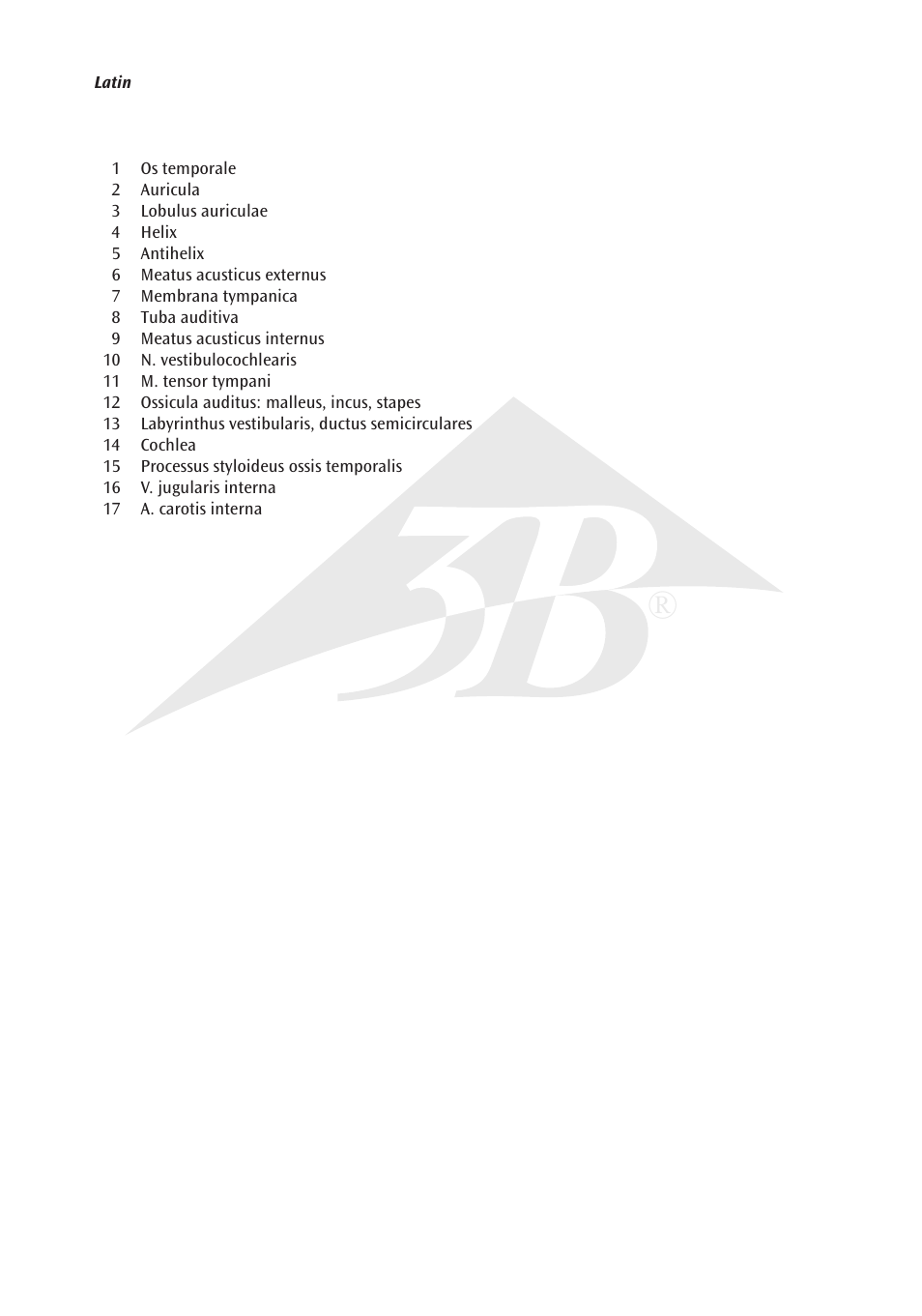3B Scientific Ear Model for desktop, 1.5 times life size User Manual | Page 3 / 12
