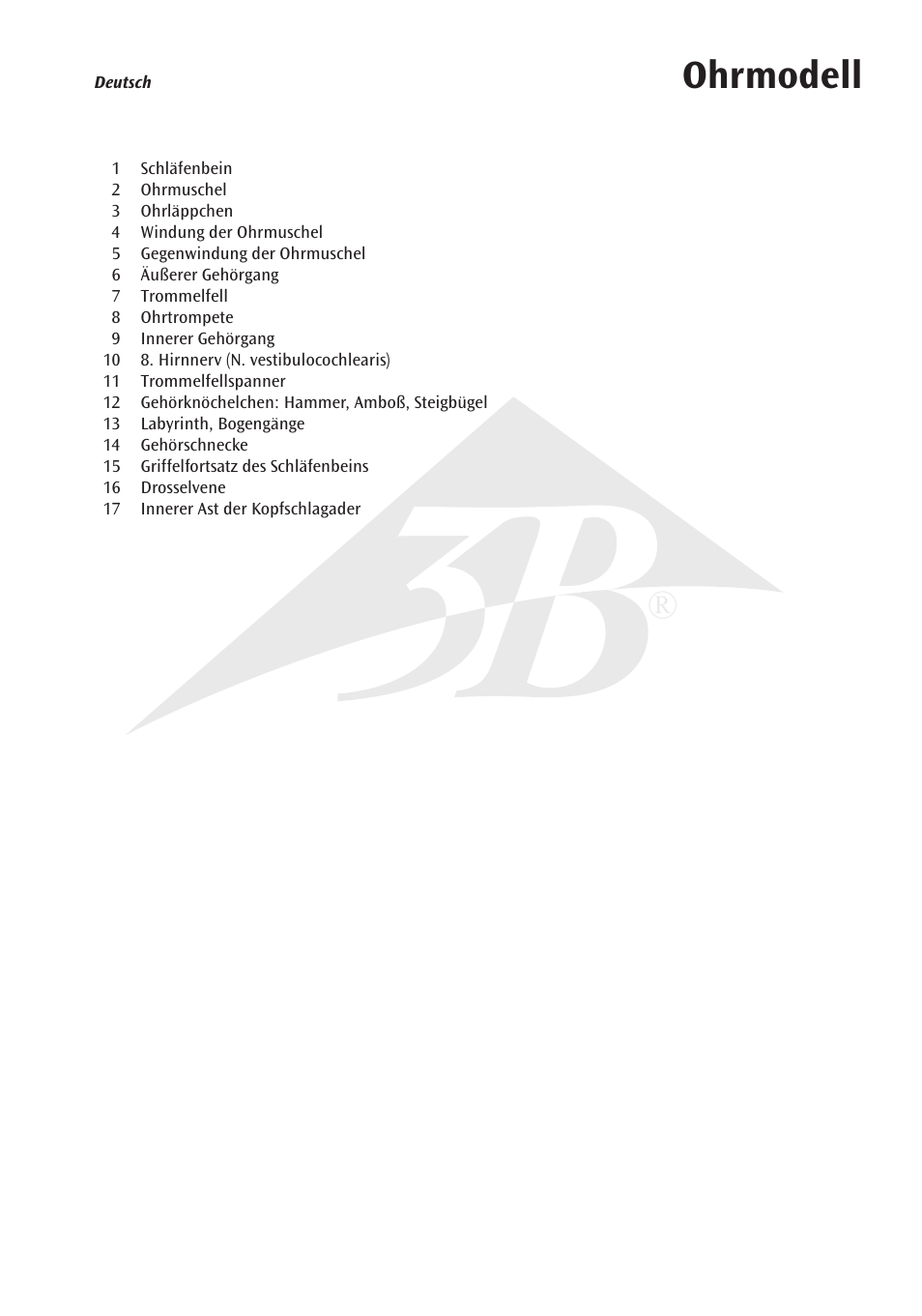Ohrmodell | 3B Scientific Ear Model for desktop, 1.5 times life size User Manual | Page 5 / 12