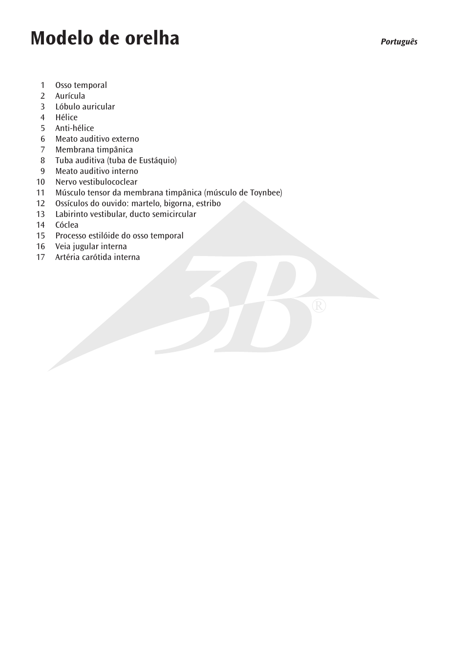 Modelo de orelha | 3B Scientific Ear Model for desktop, 1.5 times life size User Manual | Page 8 / 12