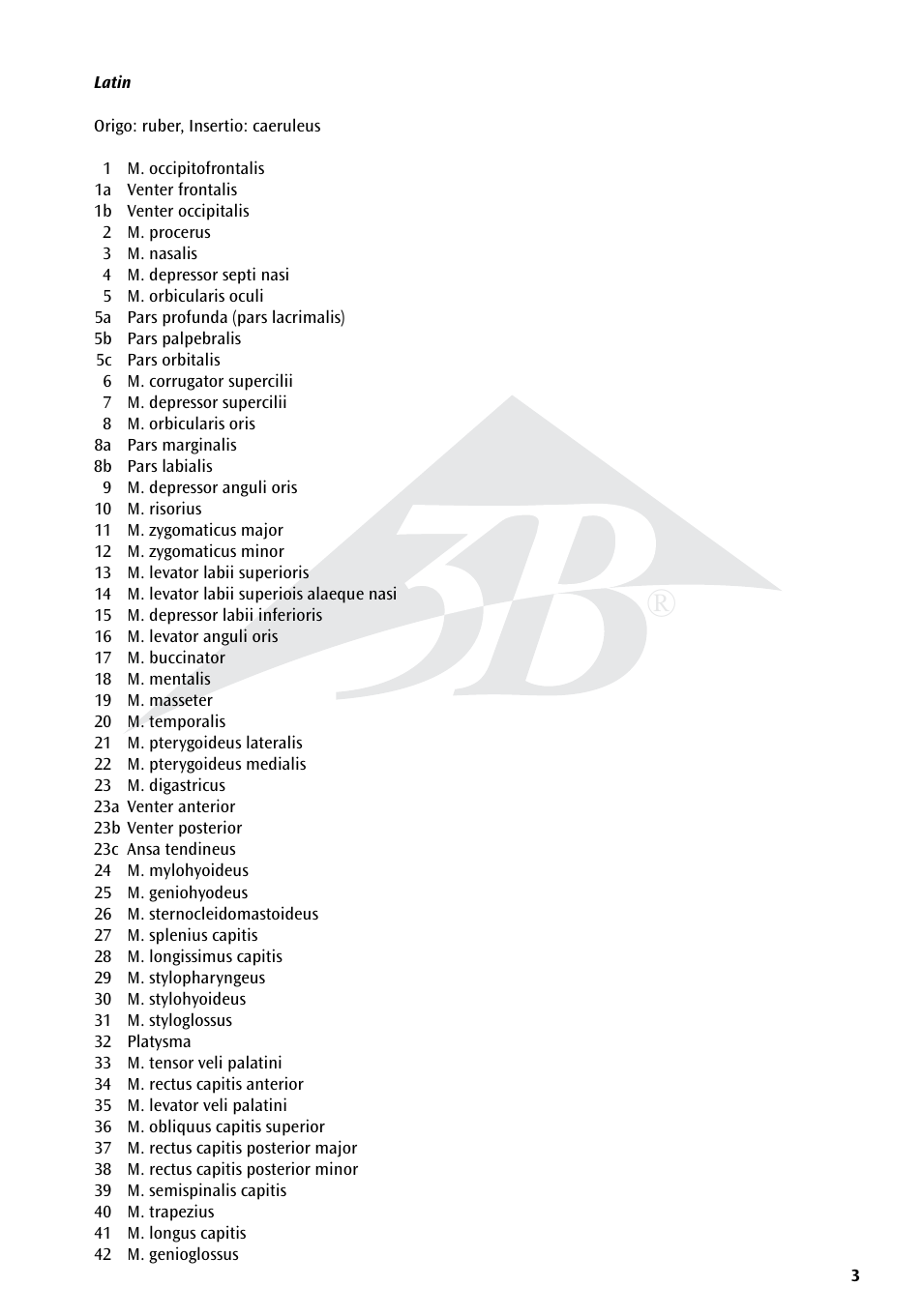 3B Scientific Skull with Facial Muscles User Manual | Page 3 / 24