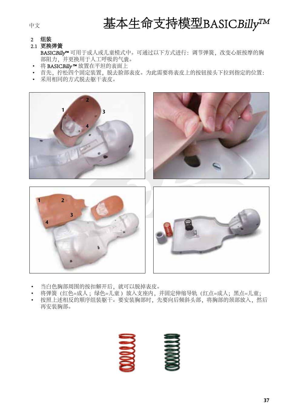 基本生命支持模型basic billy | 3B Scientific Basic life support simulator “Basic Billy” User Manual | Page 37 / 48