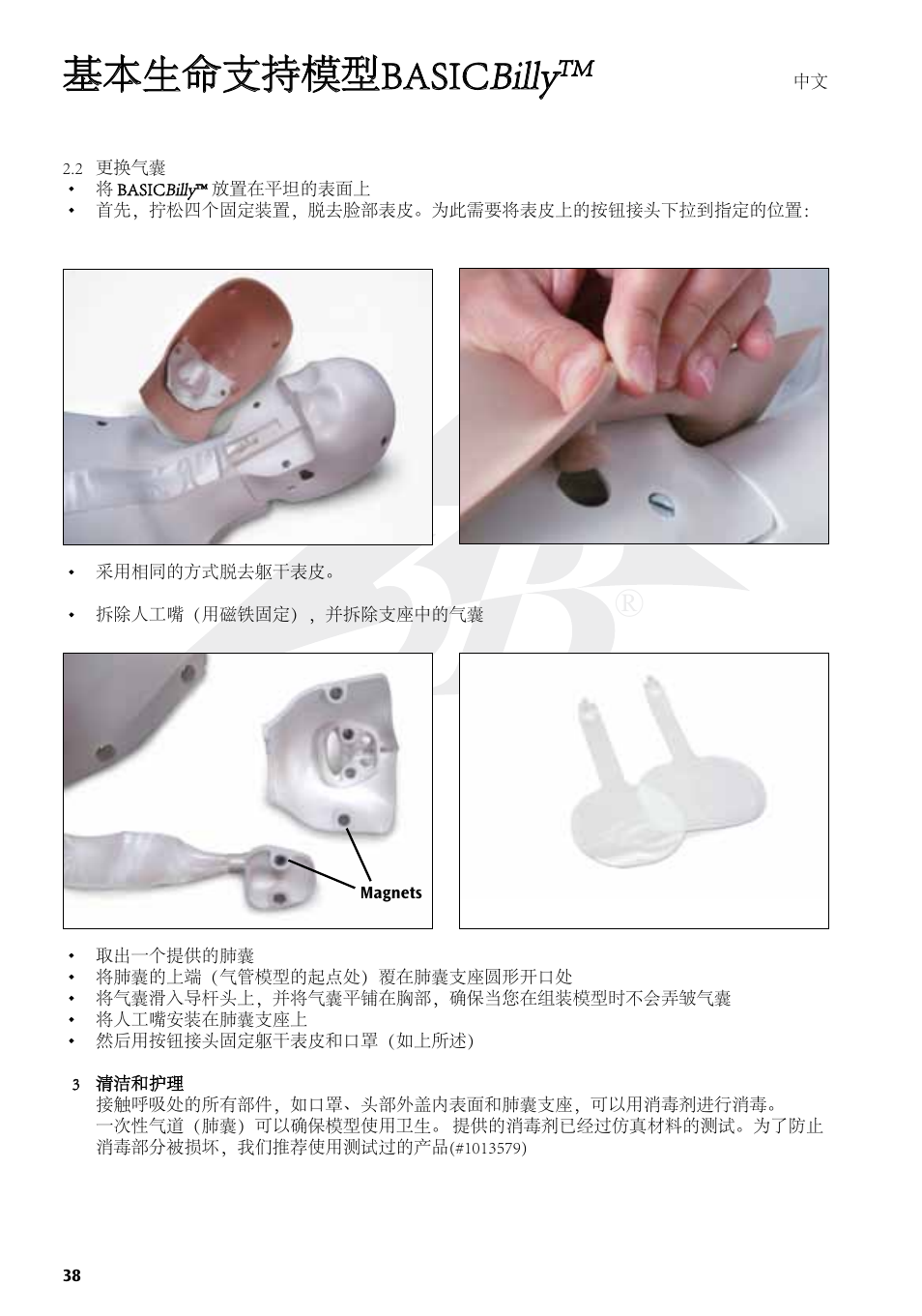 基本生命支持模型basic billy | 3B Scientific Basic life support simulator “Basic Billy” User Manual | Page 38 / 48