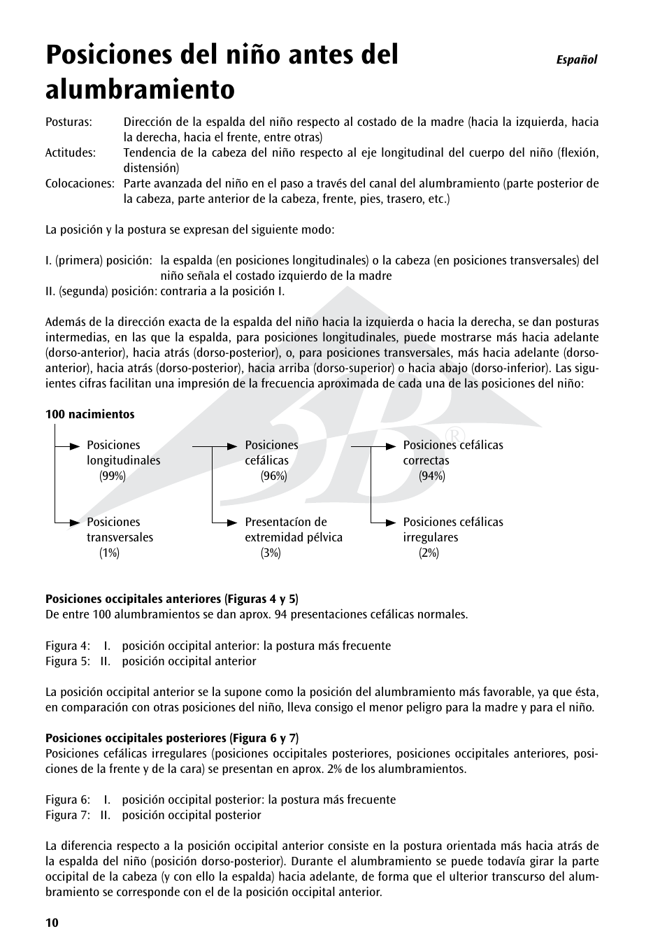 Posiciones del niño antes del alumbramiento | 3B Scientific Position of the Child before Birth Chart User Manual | Page 10 / 28