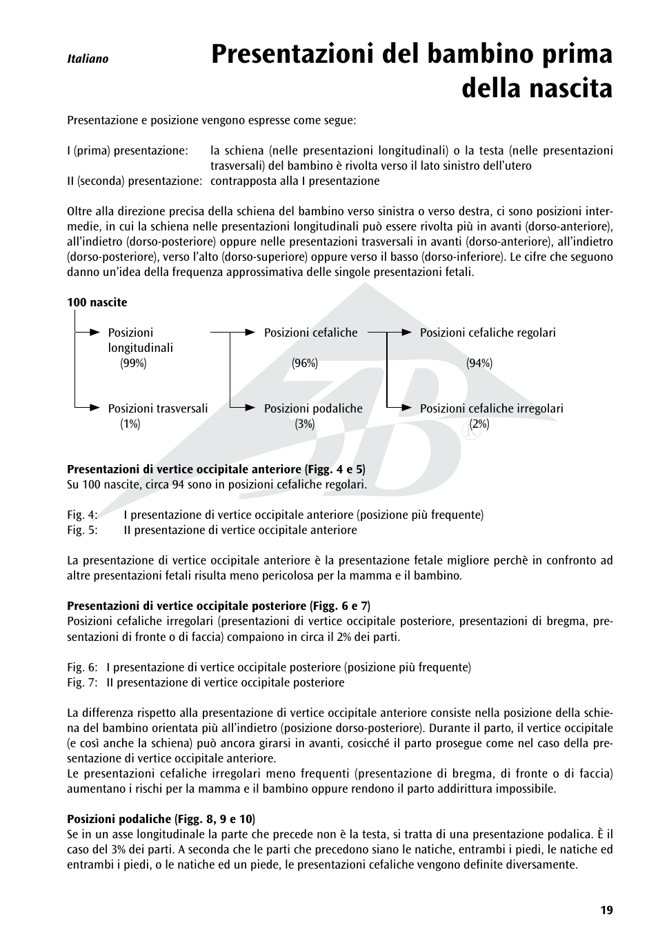 Presentazioni del bambino prima della nascita | 3B Scientific Position of the Child before Birth Chart User Manual | Page 19 / 28