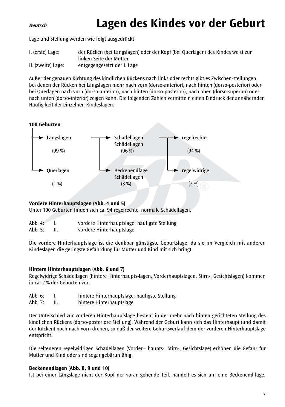 Lagen des kindes vor der geburt | 3B Scientific Position of the Child before Birth Chart User Manual | Page 7 / 28