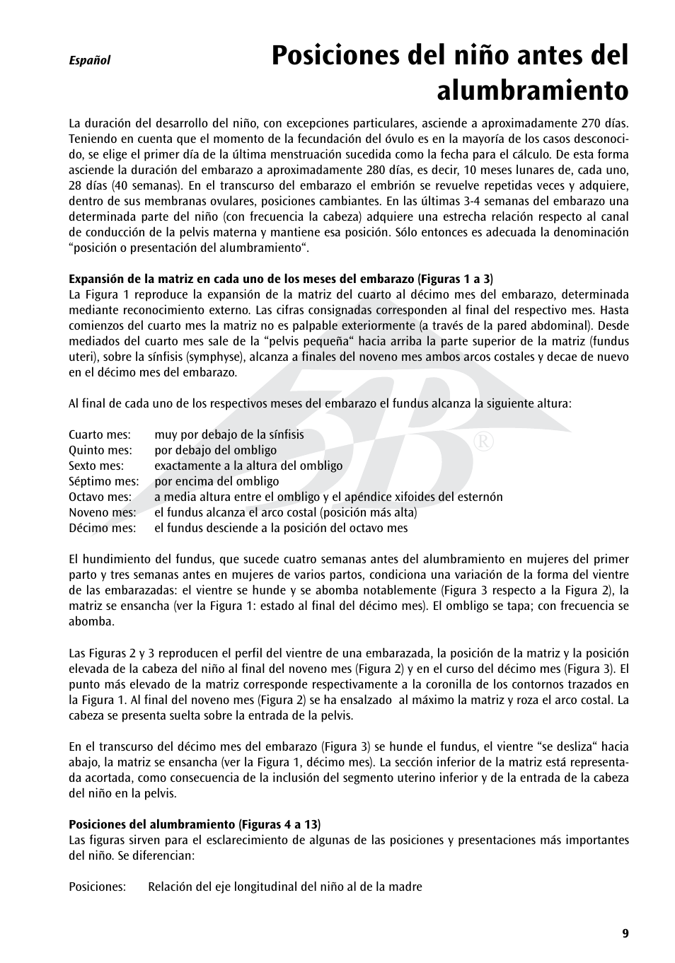 Posiciones del niño antes del alumbramiento | 3B Scientific Position of the Child before Birth Chart User Manual | Page 9 / 28