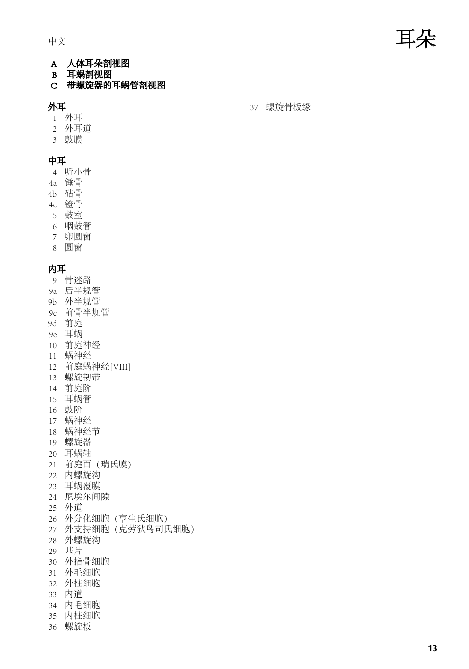 3B Scientific Human Ear Chart User Manual | Page 13 / 16