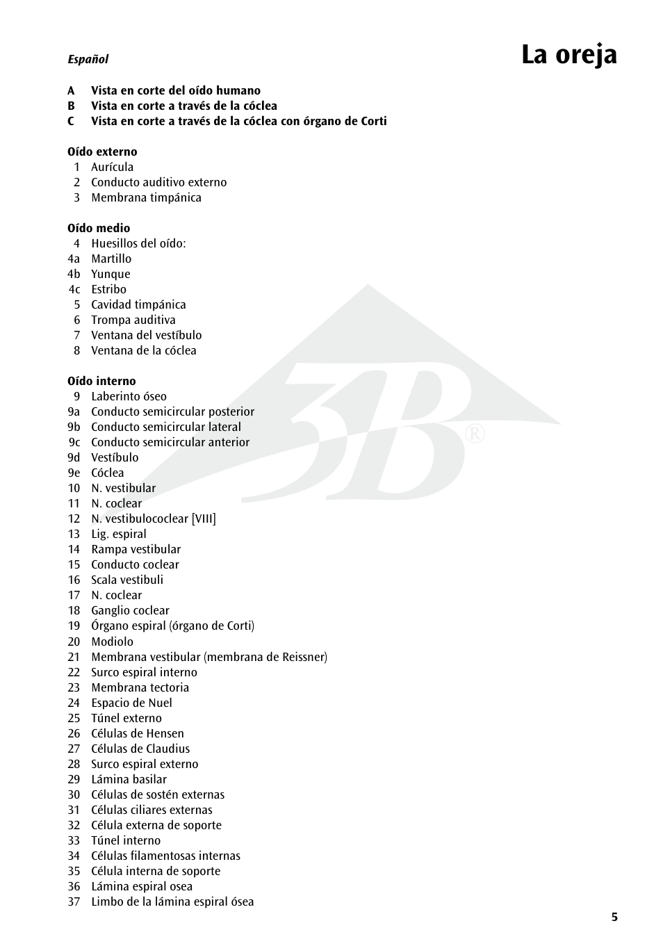 Name la oreja | 3B Scientific Human Ear Chart User Manual | Page 5 / 16