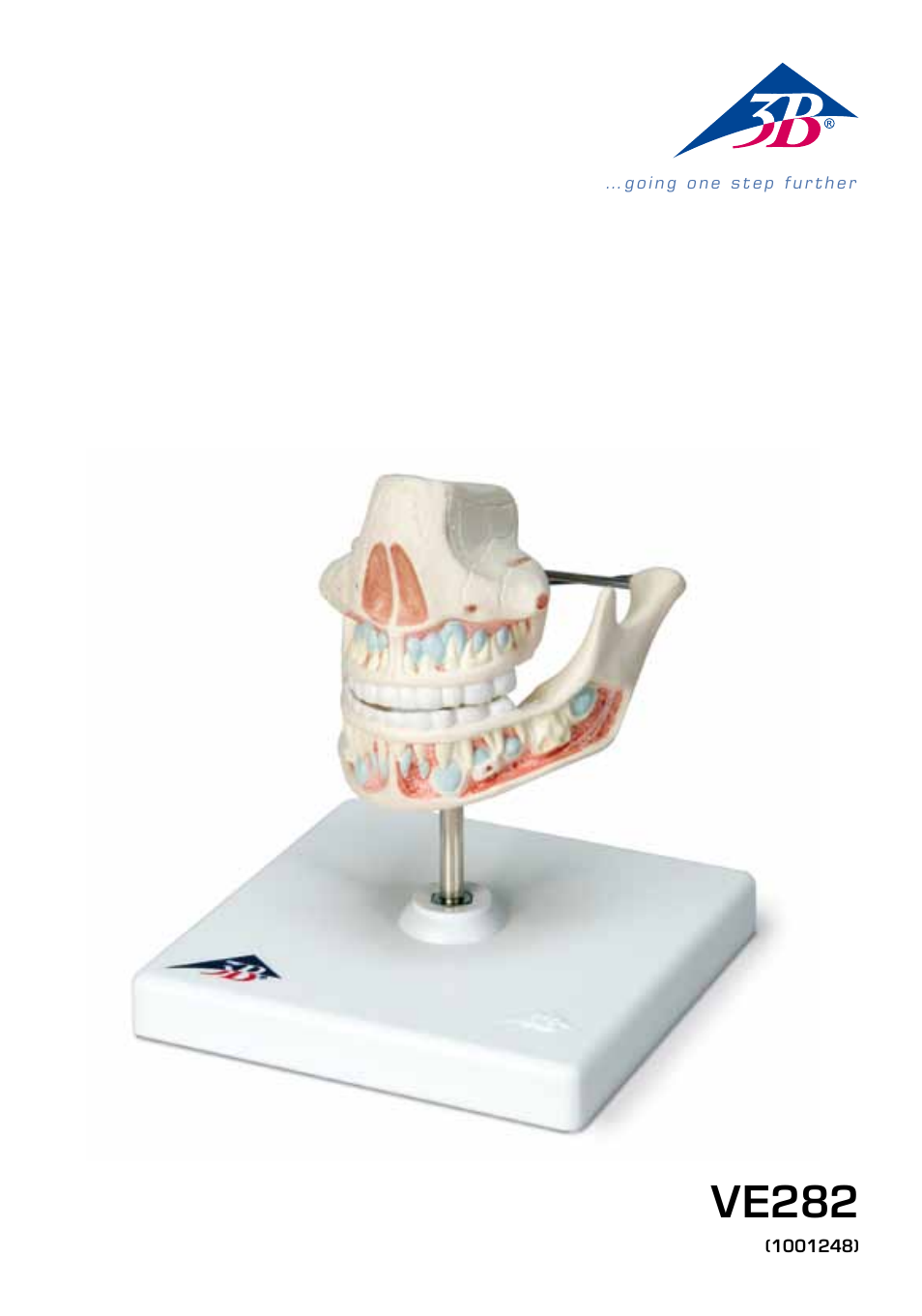3B Scientific Milk Dentures User Manual | 16 pages