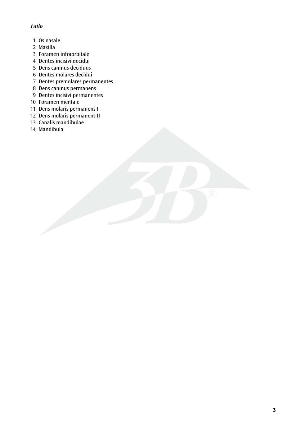 3B Scientific Milk Dentures User Manual | Page 3 / 16