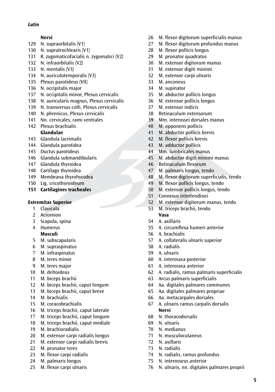 3B Scientific 3__4 Life-Size Female Muscle Model on a metal stand with 5 casters, 23-part User Manual | Page 5 / 76