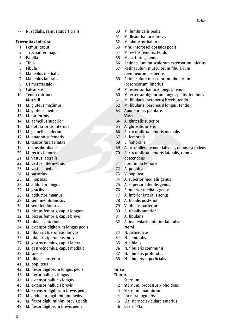 3B Scientific 3__4 Life-Size Female Muscle Model on a metal stand with 5 casters, 23-part User Manual | Page 6 / 76