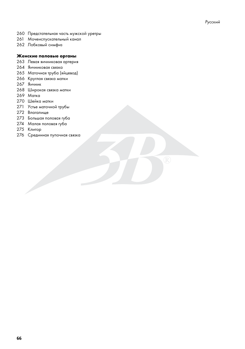 3B Scientific 3__4 Life-Size Female Muscle Model on a metal stand with 5 casters, 23-part User Manual | Page 66 / 76