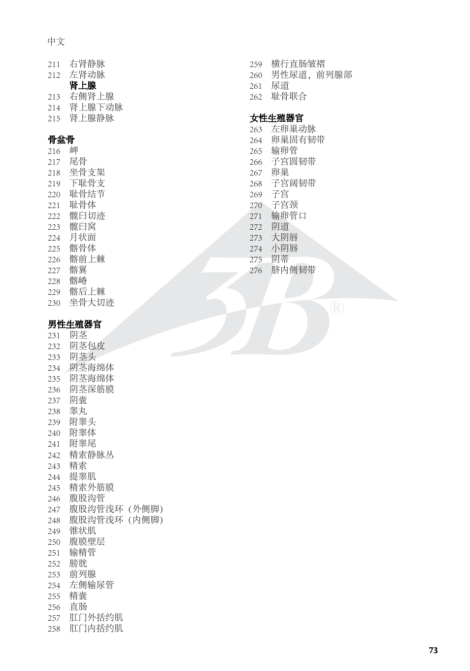 3B Scientific 3__4 Life-Size Female Muscle Model on a metal stand with 5 casters, 23-part User Manual | Page 73 / 76