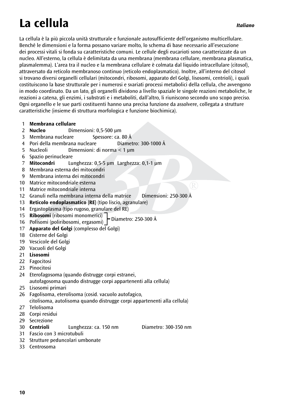 La cellula | 3B Scientific Human Cell Structure Chart User Manual | Page 10 / 16