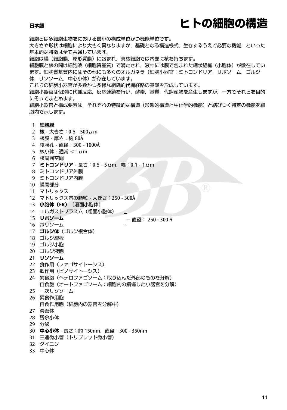 ヒトの細胞の構造 | 3B Scientific Human Cell Structure Chart User Manual | Page 11 / 16