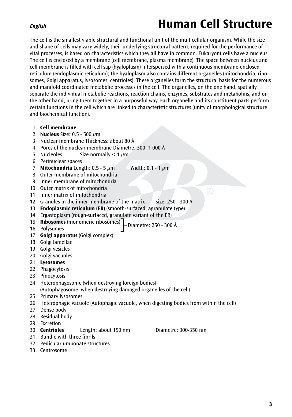Human cell structure | 3B Scientific Human Cell Structure Chart User Manual | Page 3 / 16