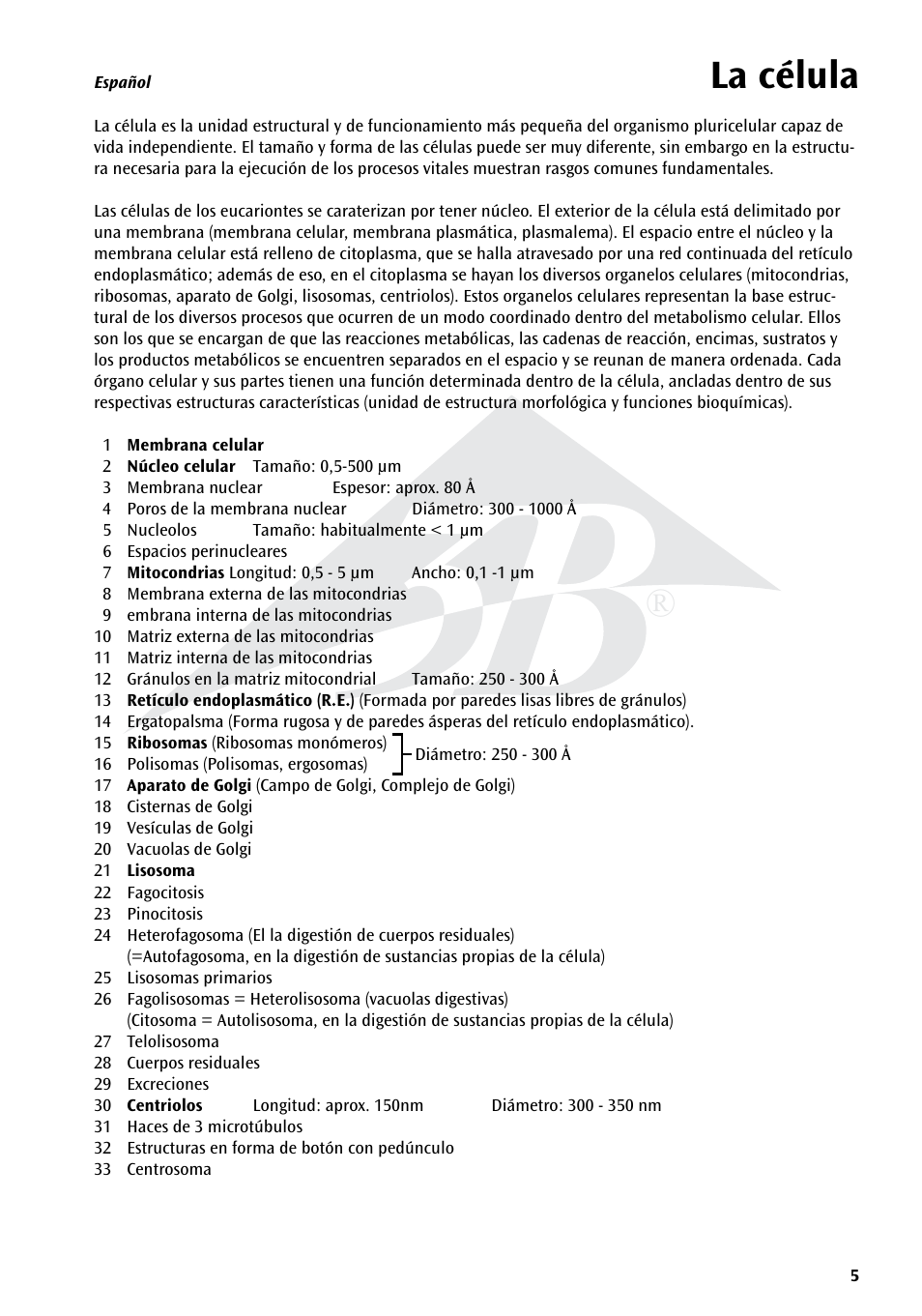 La célula | 3B Scientific Human Cell Structure Chart User Manual | Page 5 / 16