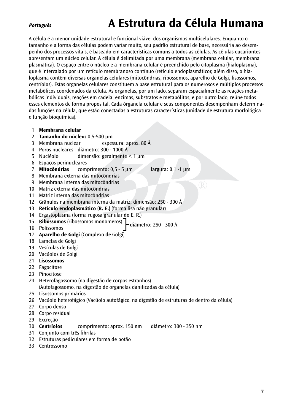 A estrutura da célula humana | 3B Scientific Human Cell Structure Chart User Manual | Page 7 / 16