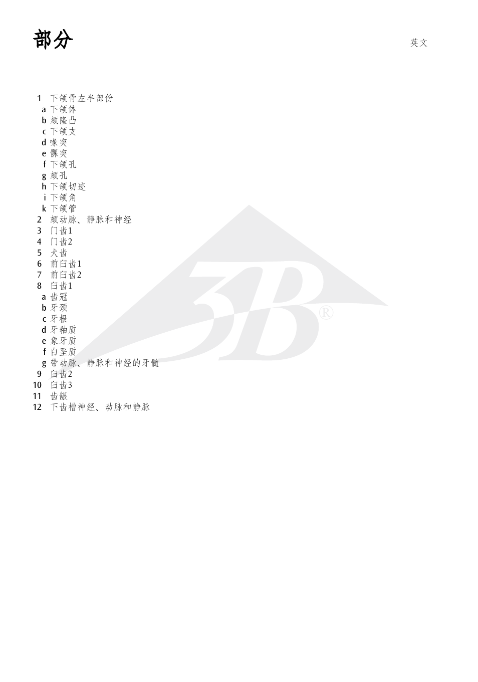 3B Scientific Half Lower Jaw, 3 times full-size, 6 part User Manual | Page 12 / 13