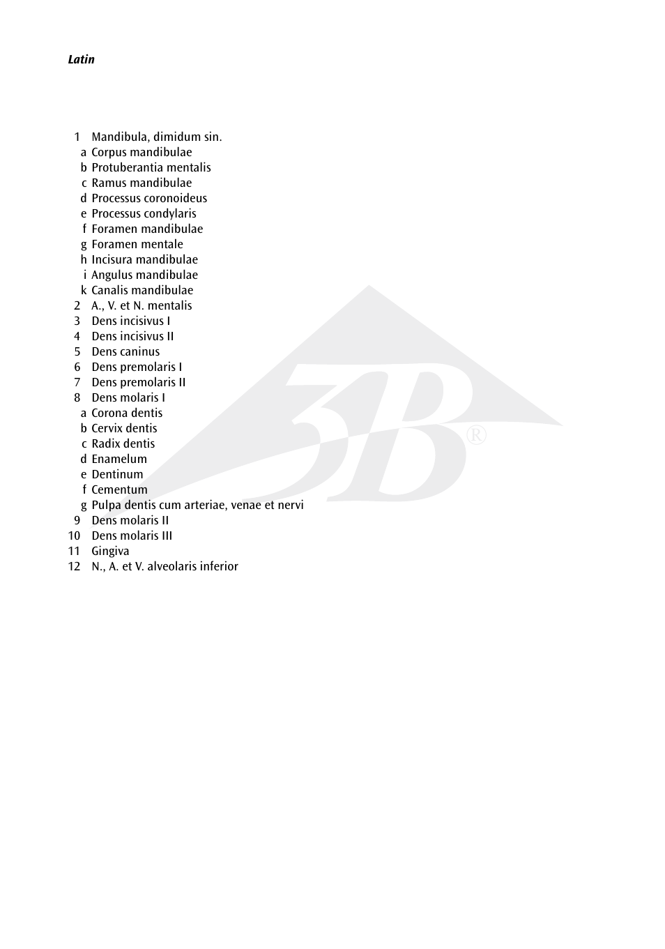 3B Scientific Half Lower Jaw, 3 times full-size, 6 part User Manual | Page 3 / 13