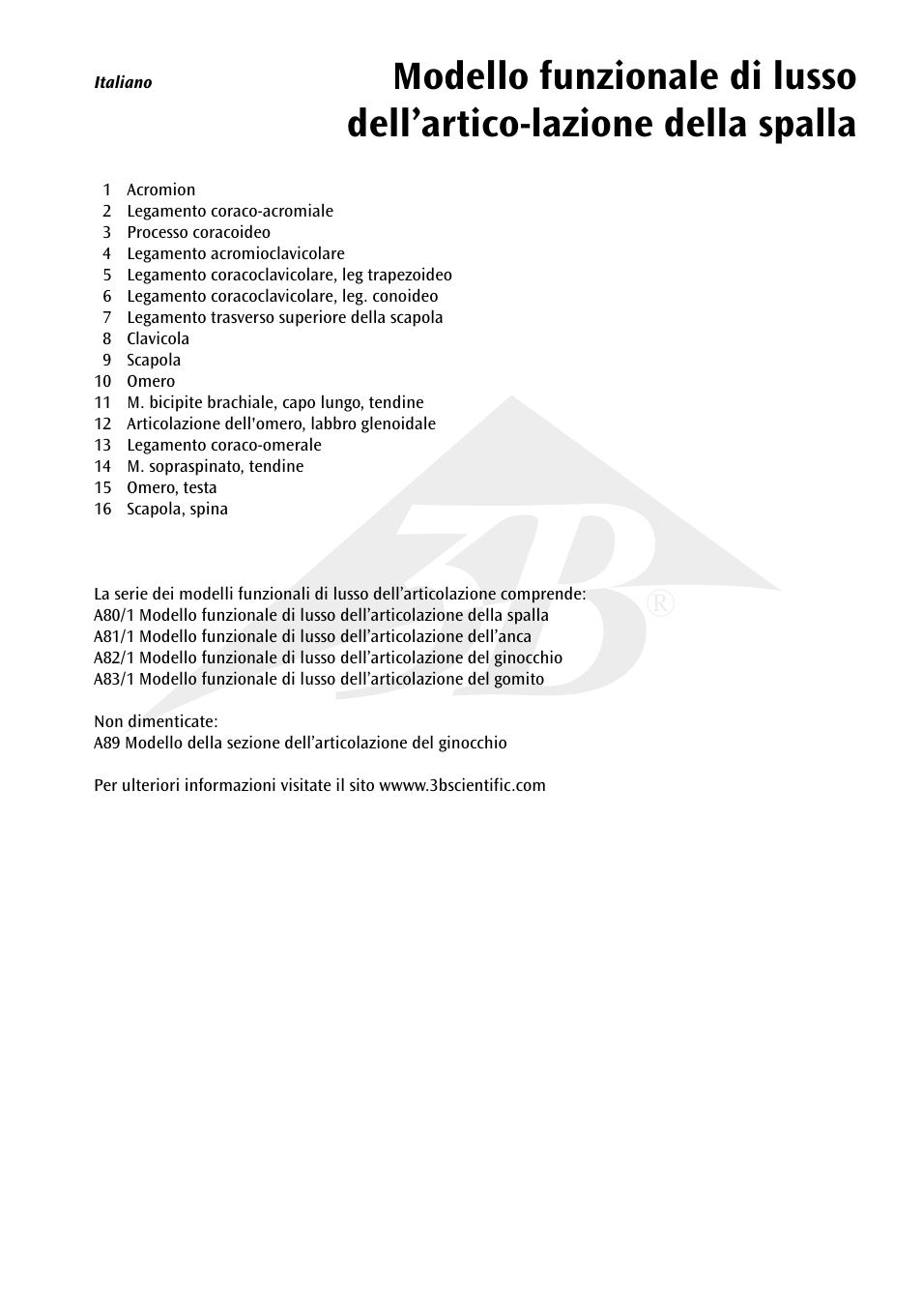 3B Scientific Deluxe Functional Shoulder Joint Model User Manual | Page 10 / 13