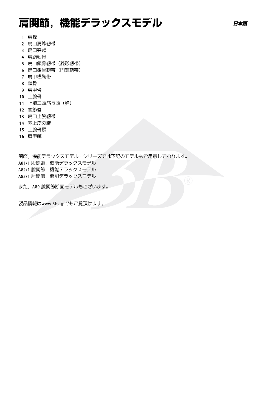 3B Scientific Deluxe Functional Shoulder Joint Model User Manual | Page 11 / 13