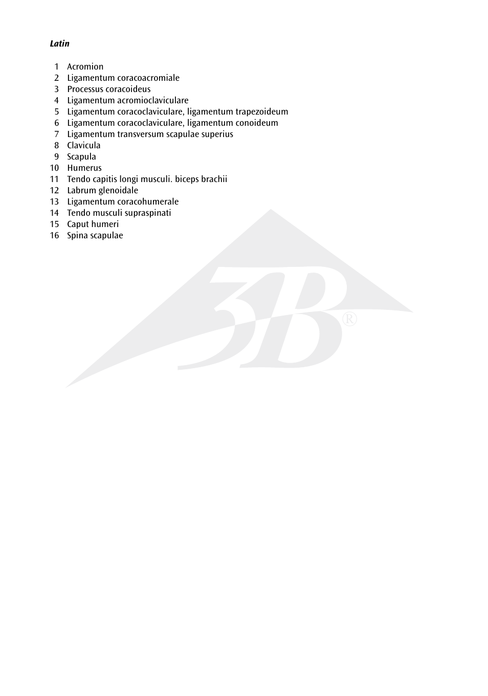 3B Scientific Deluxe Functional Shoulder Joint Model User Manual | Page 2 / 13