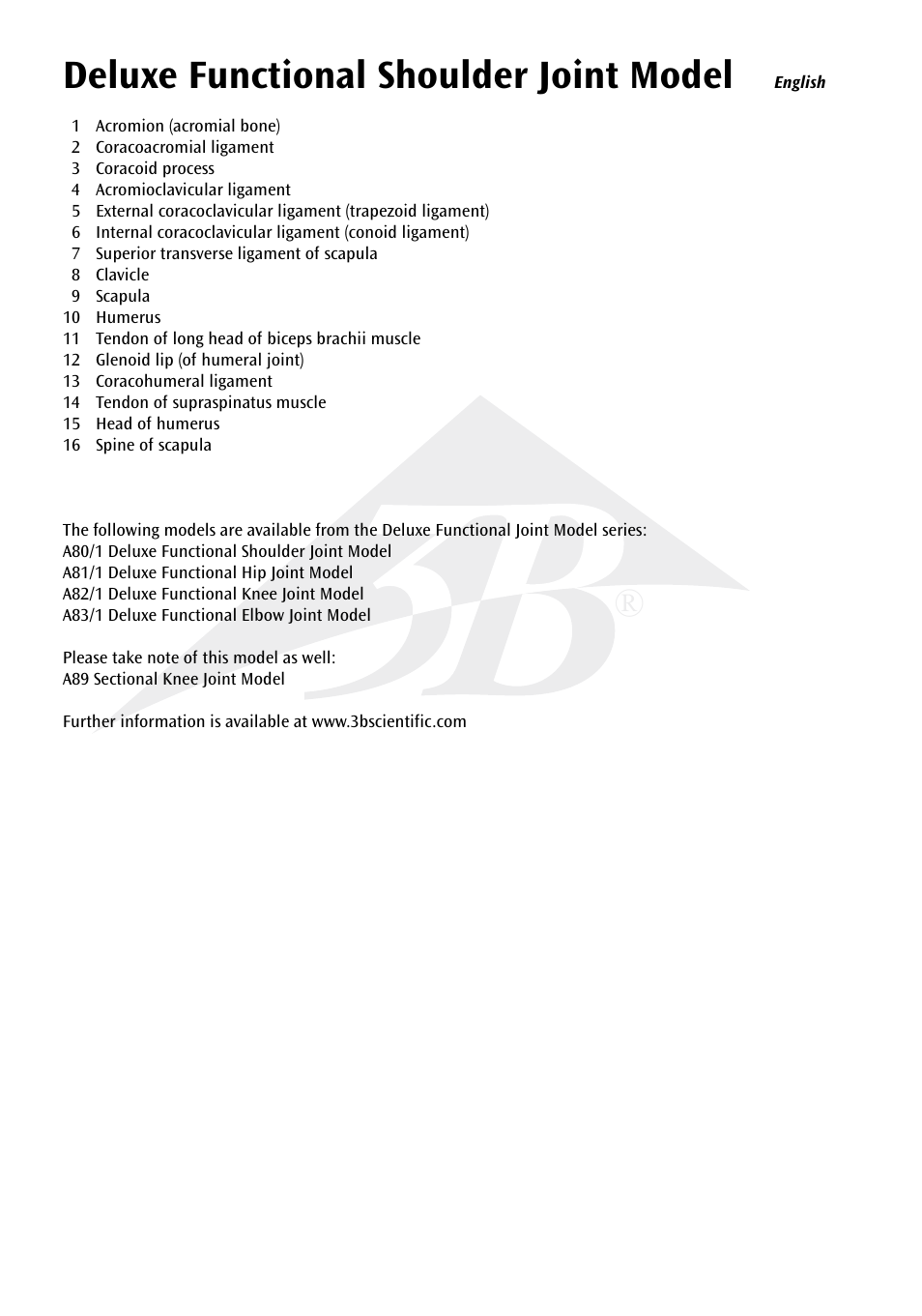 Deluxe functional shoulder joint model | 3B Scientific Deluxe Functional Shoulder Joint Model User Manual | Page 3 / 13