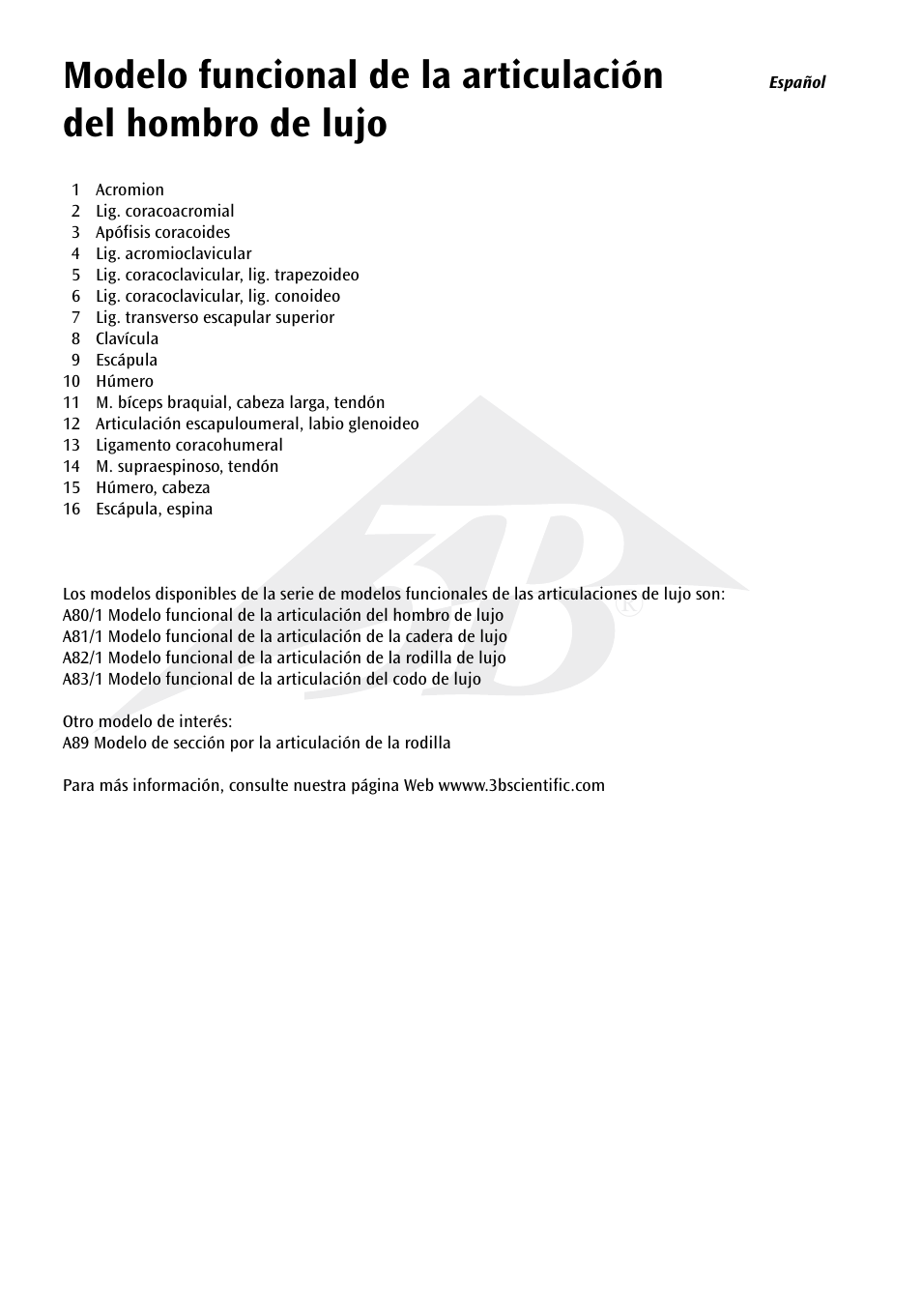3B Scientific Deluxe Functional Shoulder Joint Model User Manual | Page 5 / 13