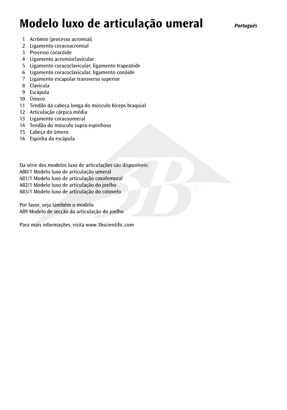Modelo luxo de articulação umeral | 3B Scientific Deluxe Functional Shoulder Joint Model User Manual | Page 9 / 13