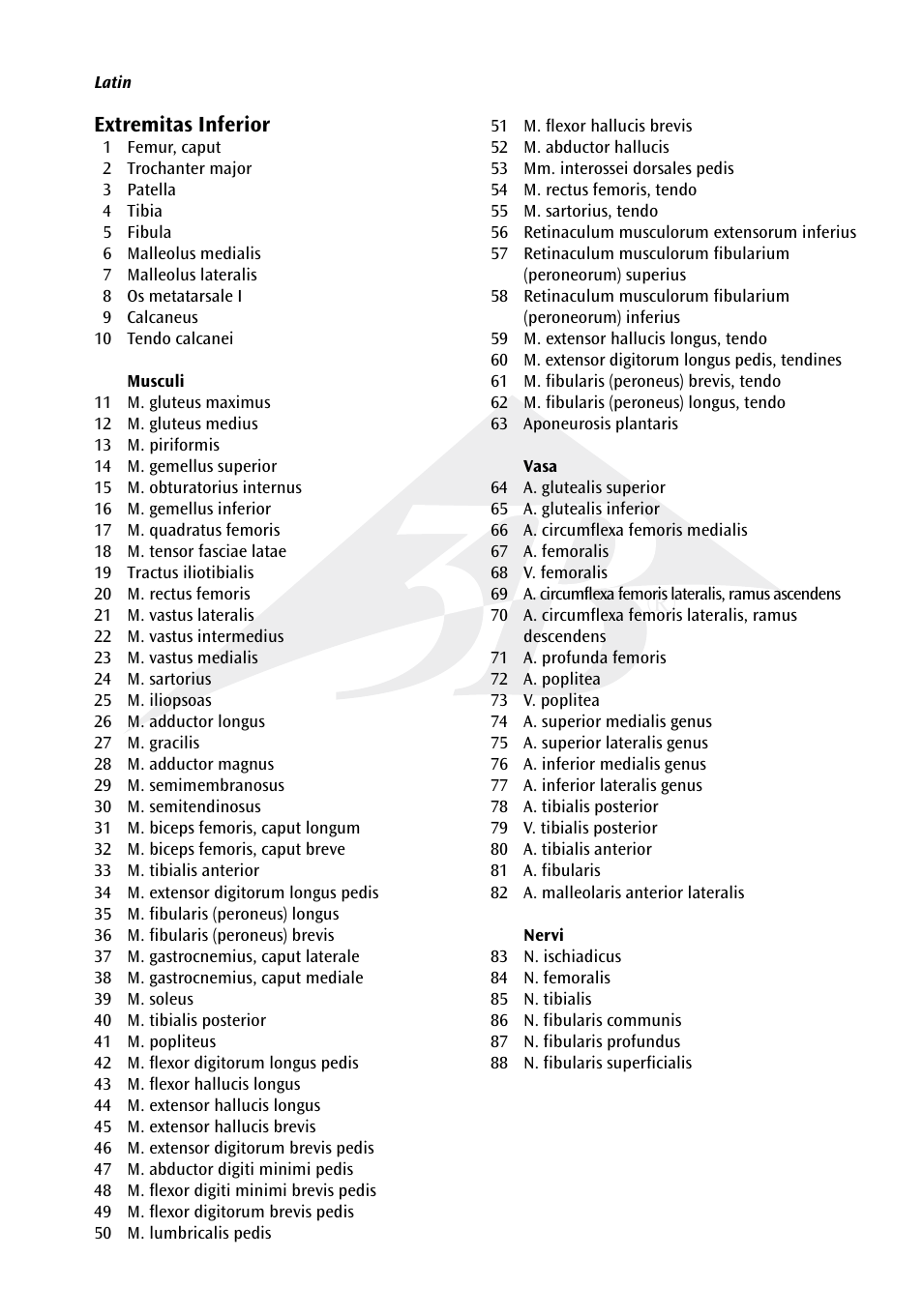 3B Scientific Muscle Leg, 9 part, 3__4 Life Size User Manual | Page 2 / 10