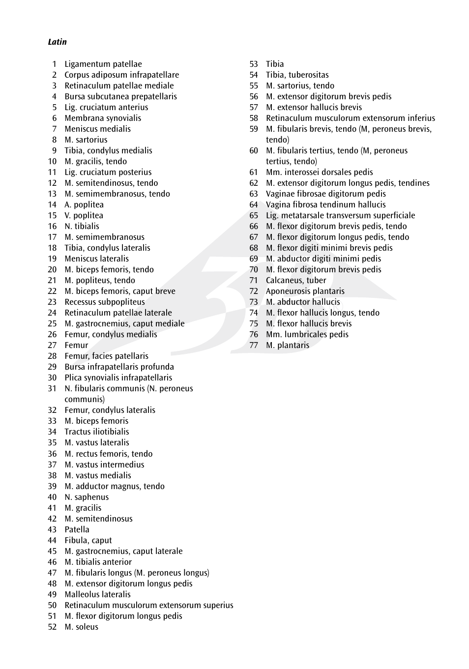 3B Scientific Lower Muscle Leg with detachable Knee, 3 part, Life Size User Manual | Page 15 / 28