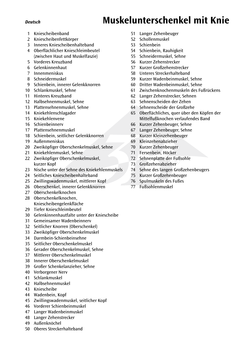 Muskelunterschenkel mit knie | 3B Scientific Lower Muscle Leg with detachable Knee, 3 part, Life Size User Manual | Page 17 / 28