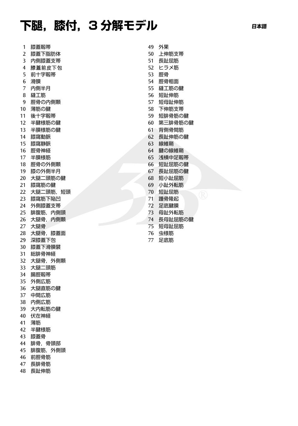 下腿，膝付，3 分解モデル | 3B Scientific Lower Muscle Leg with detachable Knee, 3 part, Life Size User Manual | Page 22 / 28