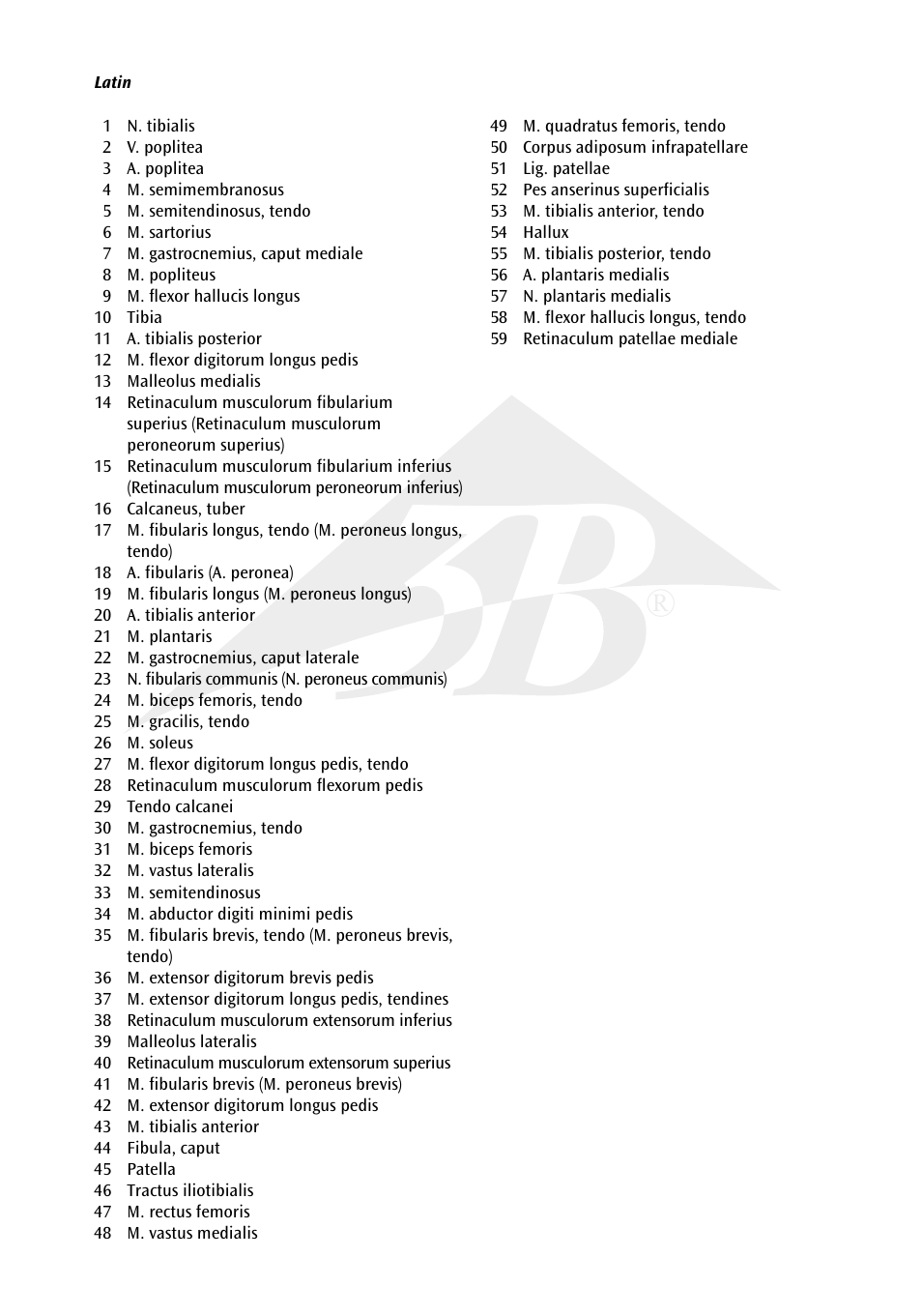 3B Scientific Lower Muscle Leg with detachable Knee, 3 part, Life Size User Manual | Page 3 / 28