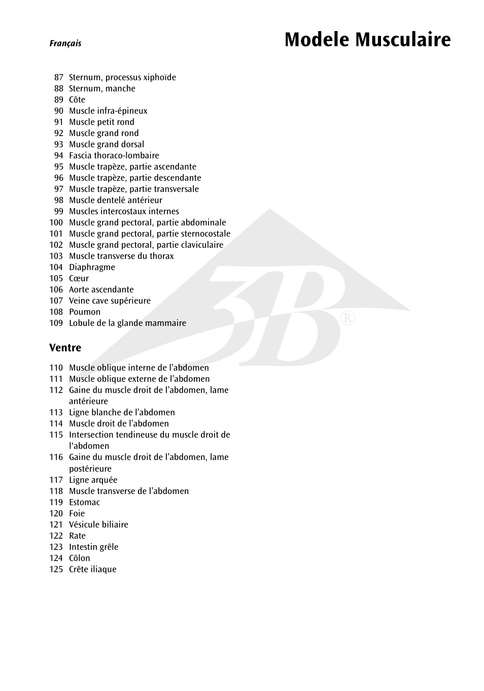 Modele musculaire | 3B Scientific 1__3 Life-Size Muscle Figure, 2-part User Manual | Page 11 / 20