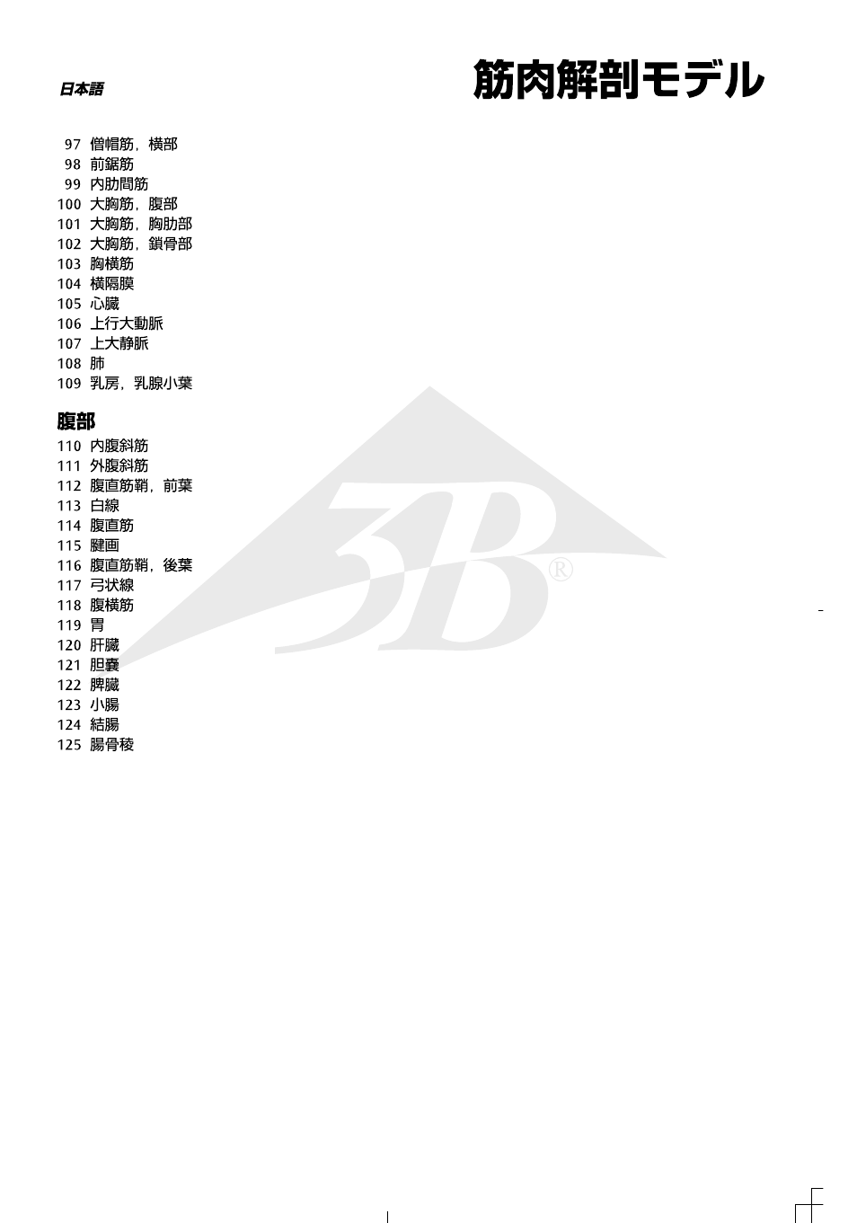 3B Scientific 1__3 Life-Size Muscle Figure, 2-part User Manual | Page 17 / 20