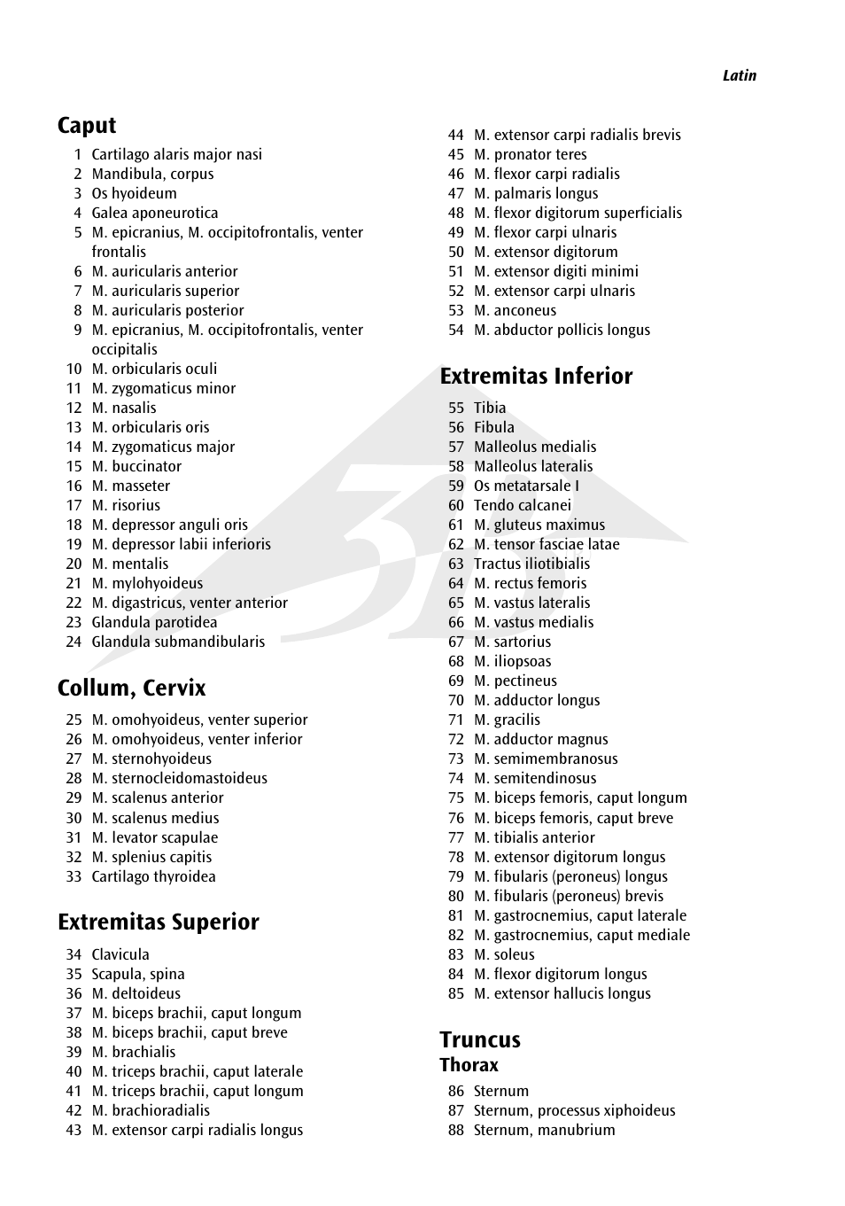 Caput, Collum, cervix, Extremitas superior | Extremitas inferior, Truncus | 3B Scientific 1__3 Life-Size Muscle Figure, 2-part User Manual | Page 2 / 20