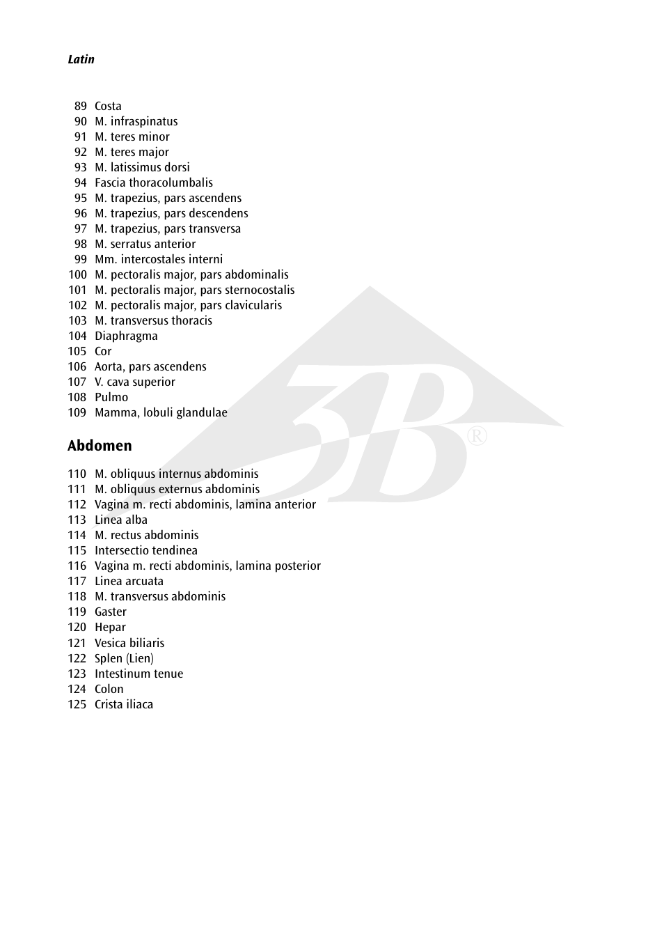 3B Scientific 1__3 Life-Size Muscle Figure, 2-part User Manual | Page 3 / 20